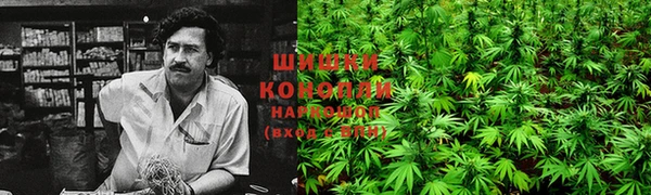 стафф Киренск