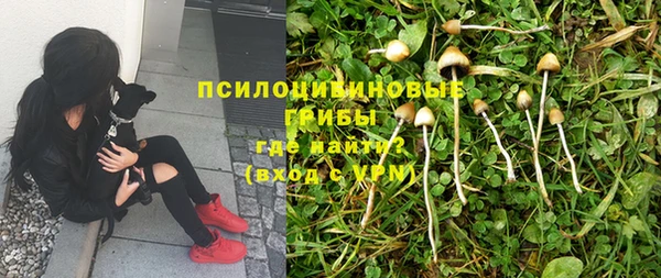 стафф Киренск